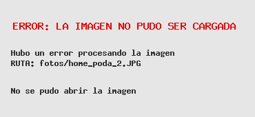 San Fernando continúa realizando el servicio de poda 