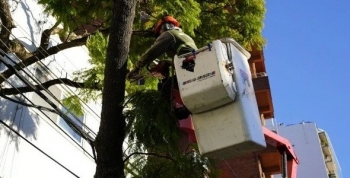 Vicente López: continúa abierta la inscripción al Plan de Poda 2026