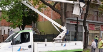 Continúan los trabajos de poda correctiva en Virreyes Oeste