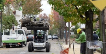 Avanzan los trabajos de poda correctiva en San Fernando
