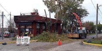 El Plan de Poda 2018 continúa en General Pacheco