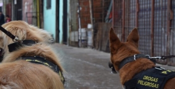 77 allanamientos, 18 detenidos y más de 55.000 dosis de estupefacientes en Buenos Aires