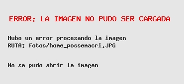 POSSE: DURANTE MÁS DE UNA DÉCADA SE HIZO POLÍTICA CON LA ENERGÍA Y HOY LO ESTAMOS PAGANDO