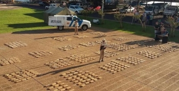 INCAUTARON 763 KILOS DE MARIHUANA DENTRO DE BOLSAS DE CONSORCIO EN EL LÍMITE CON PARAGUAY