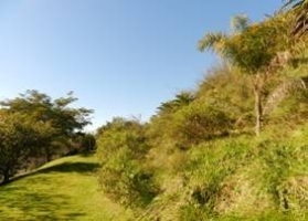 SAN ISIDRO: RESTAURACIÓN AMBIENTAL EN LA BARRANCA DE LA QUINTA LOS OMBÚES