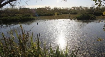 EL PARQUE NATURAL MUNICIPAL RIBERA NORTE REALIZA ESTUDIOS EN SU LAGUNA