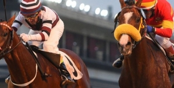 LEGISLADORES DEL FRENTE RENOVADOR VOTAN EN CONTRA DE LA MODIFICACIÓN A LA LEY DE TURF