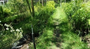 SAN ISIDRO: EL VIVERO DE RIBERA NORTE DONÓ MÁS DE MIL EJEMPLARES
